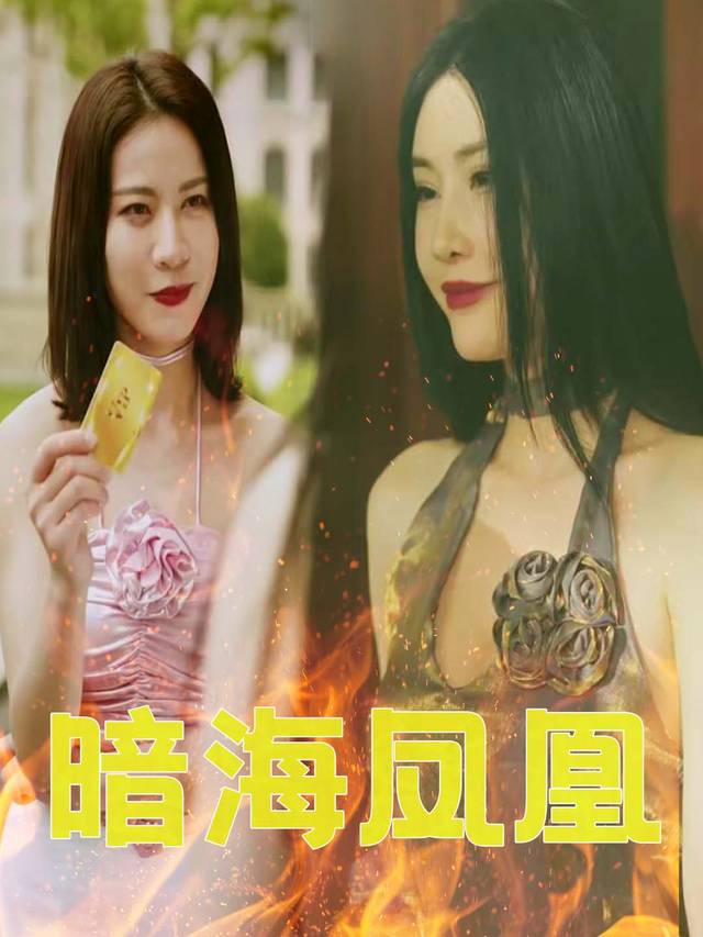 暗海凤凰封面