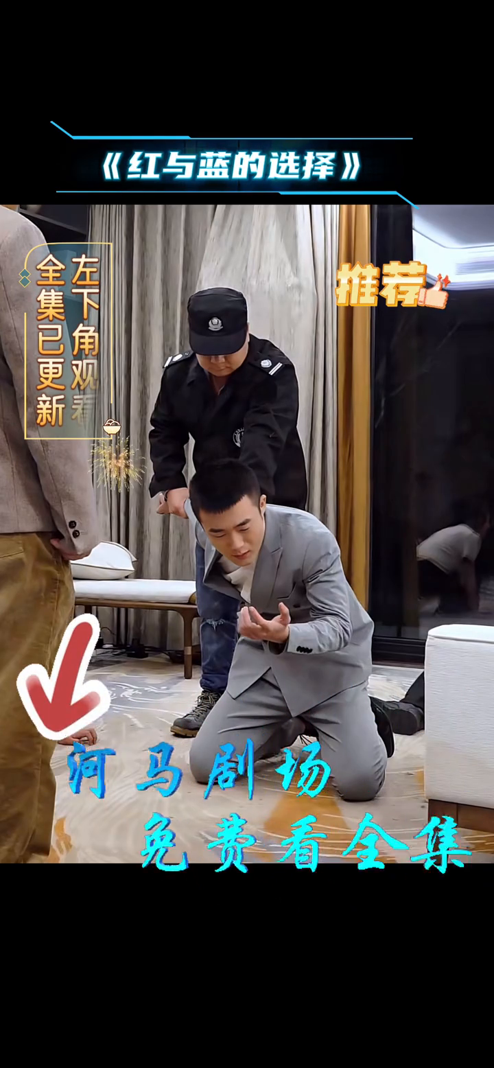 红与蓝的选择封面