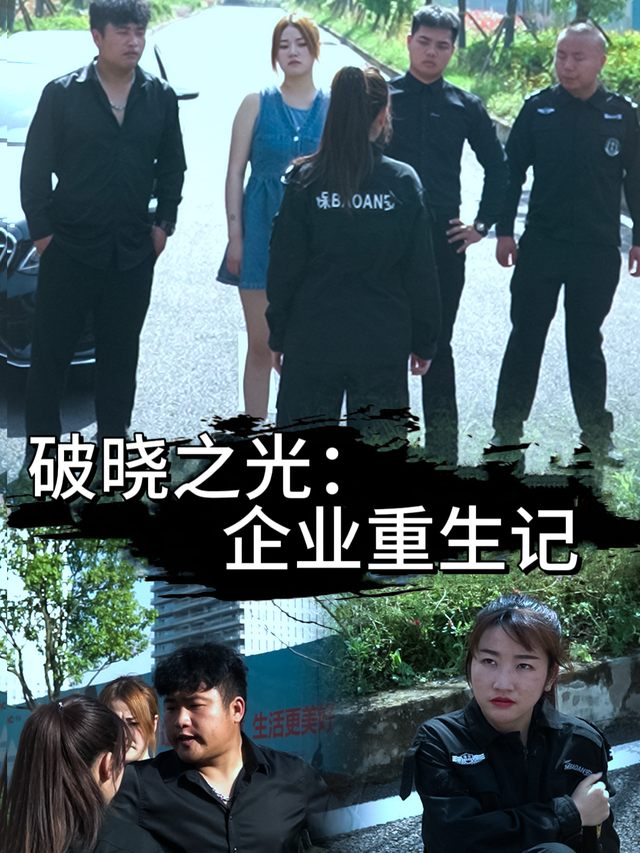 破晓之光:企业重生记封面