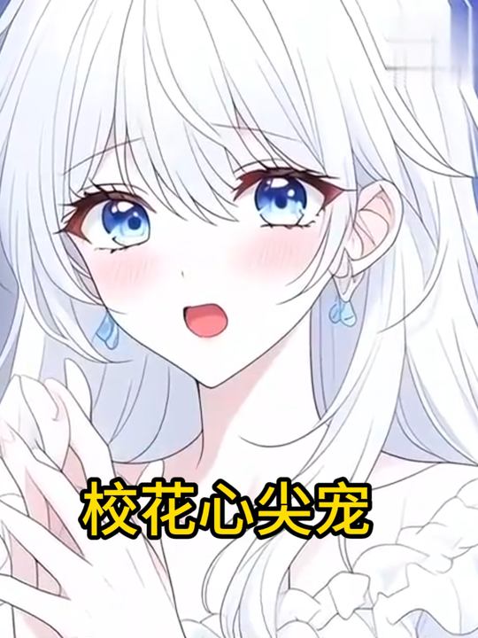 校花心尖宠封面