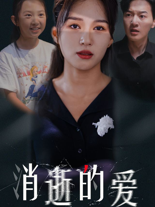 消逝的爱封面