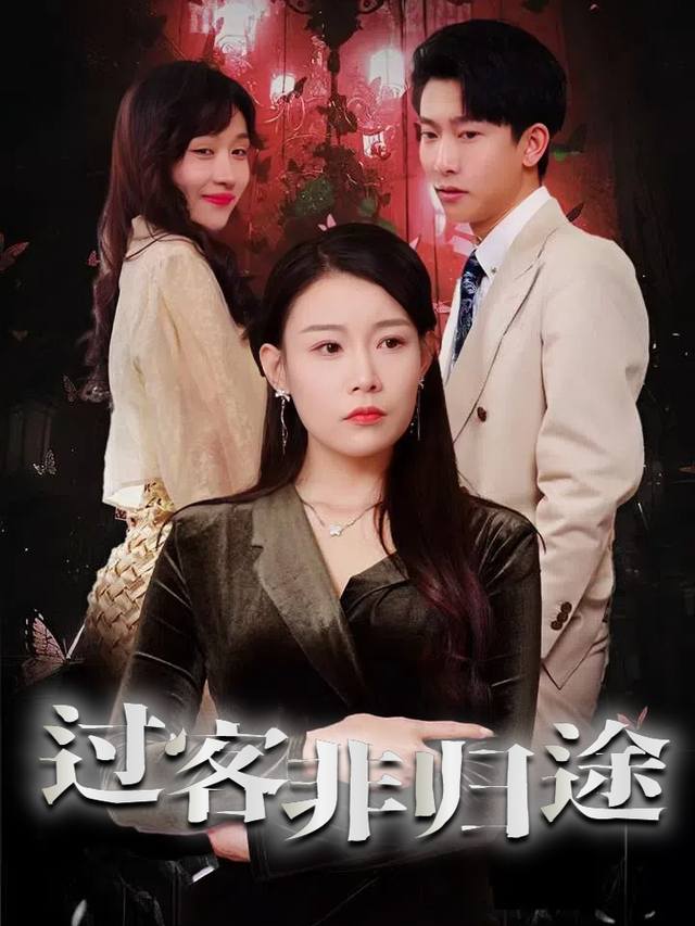 过客非归途封面