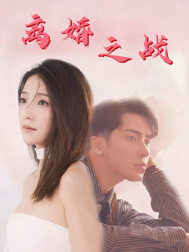 离婚之战封面