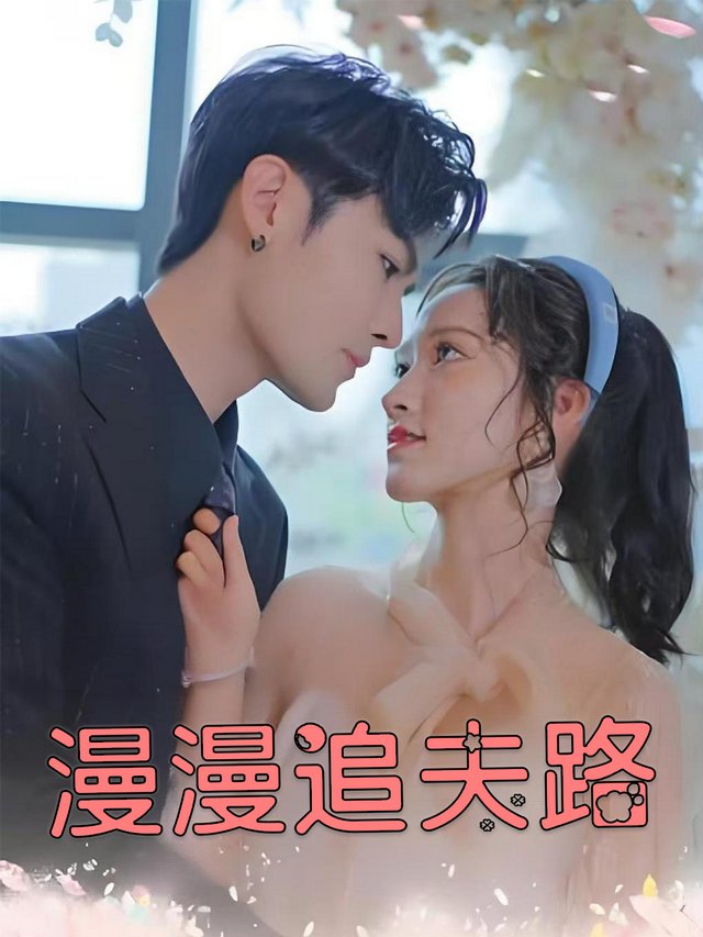 漫漫追夫路封面