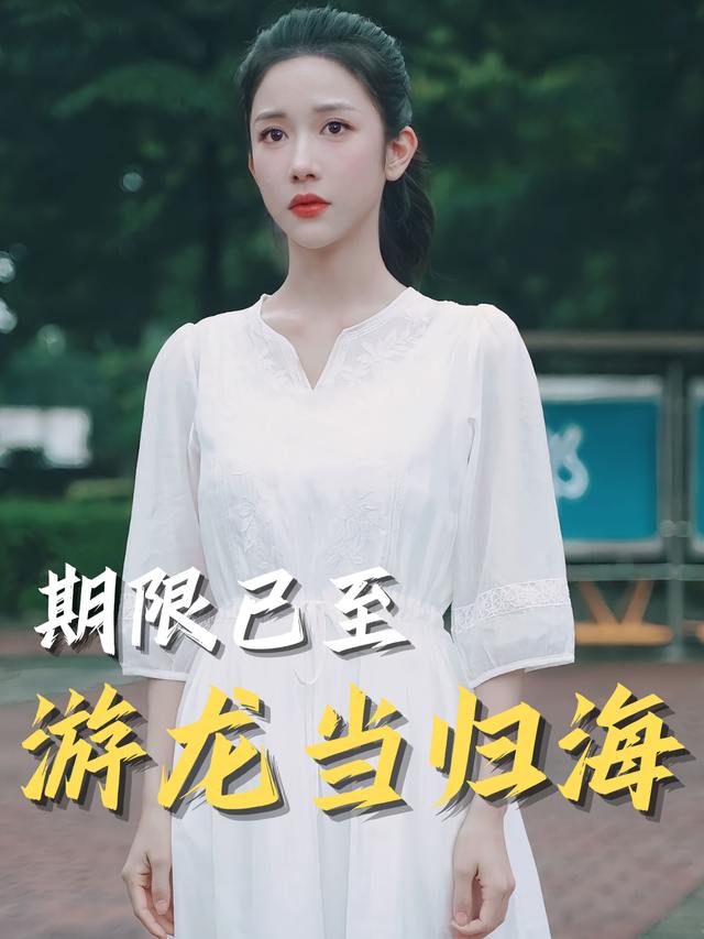 期限已至,游龙当归海封面