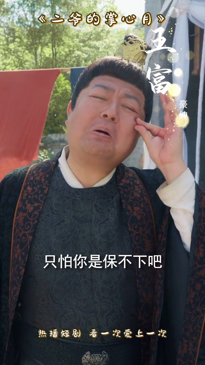 二爷的掌心月封面