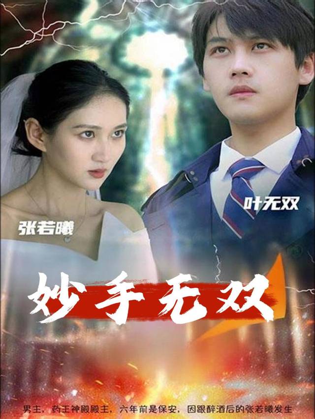 妙手无双封面