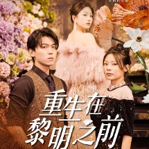 重生在黎明之前封面