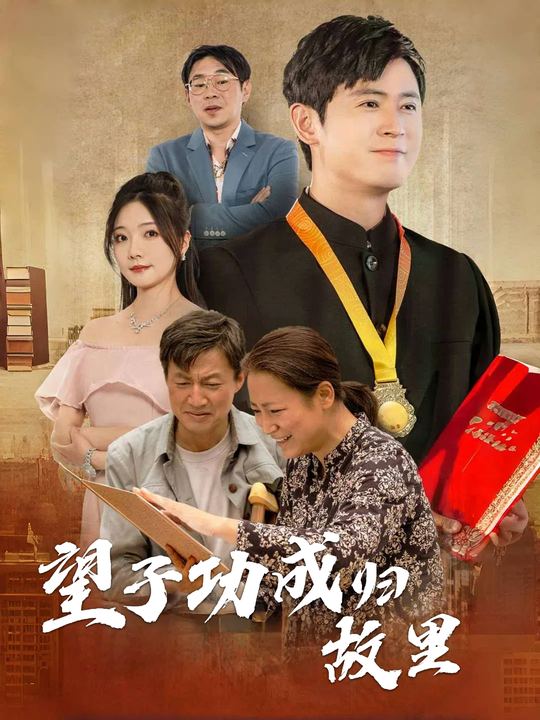 望子功成归故里封面