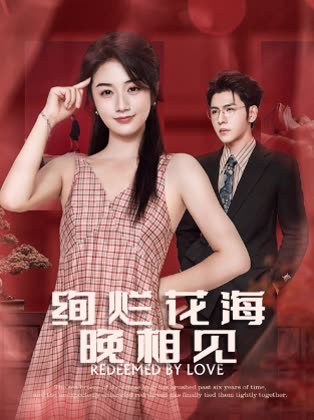 绚烂花海晚相见封面
