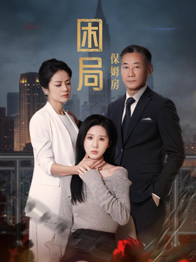 困局保姆房封面