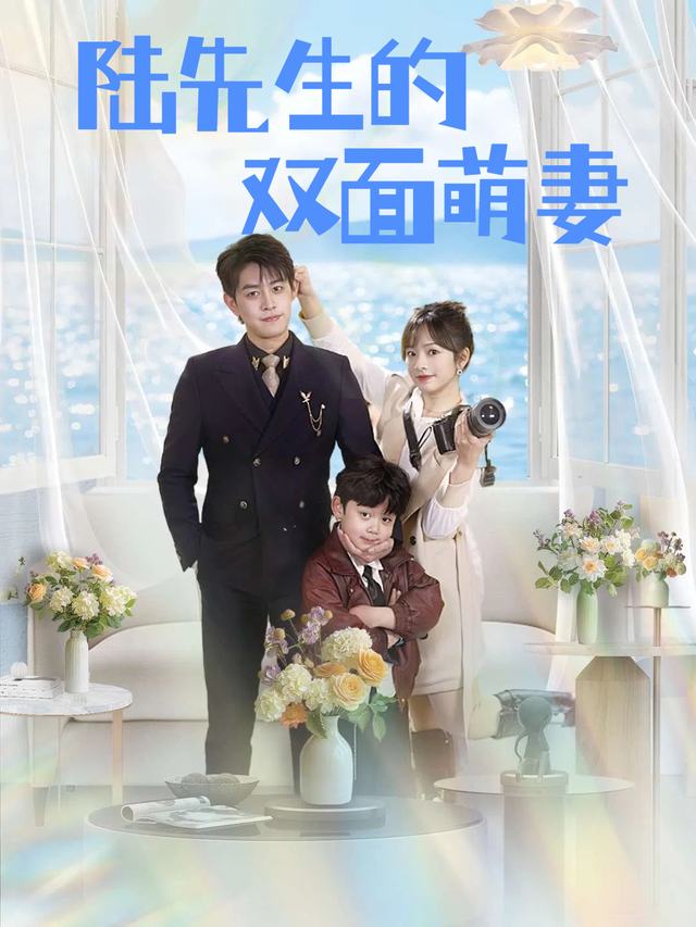 陆先生的双面萌妻封面