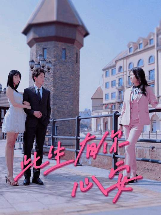 此生有你心安封面