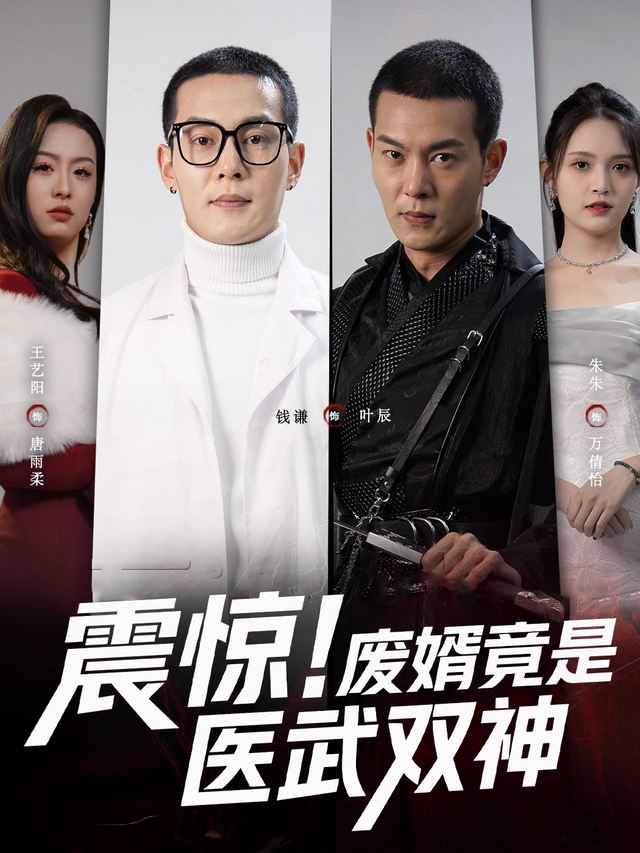 震惊!废婿竟是医武双神封面