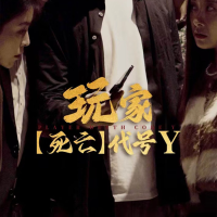 玩家死亡代号Y封面