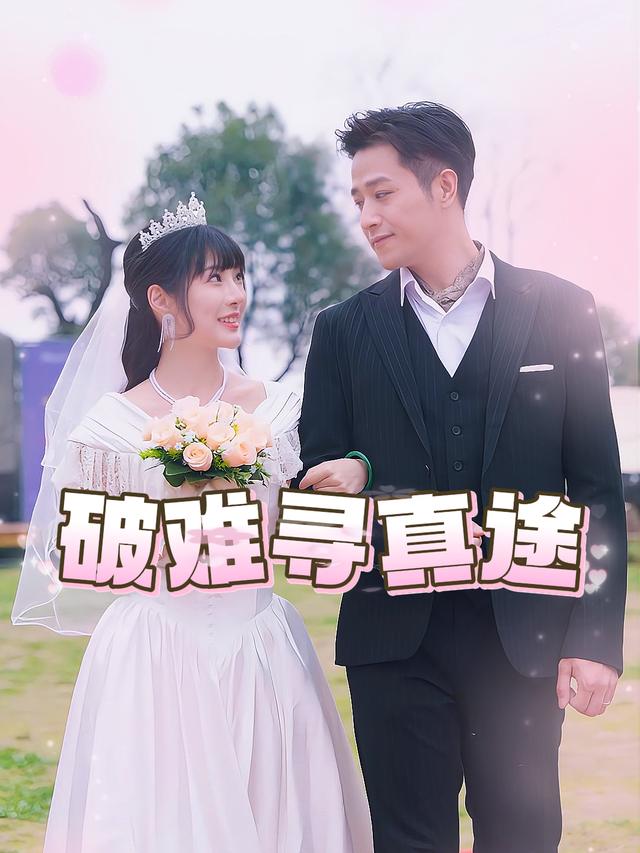 破难寻真途封面