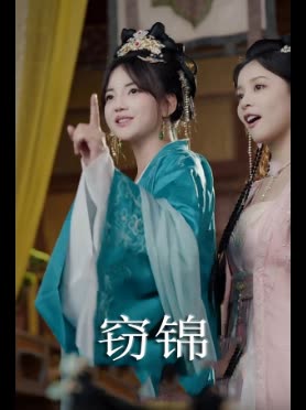 窃锦封面