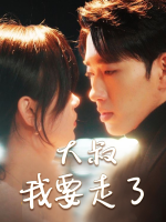 大叔,我要走了封面