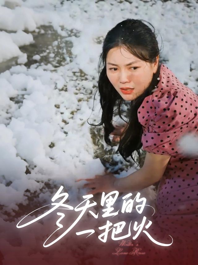 冬天里的一把火封面
