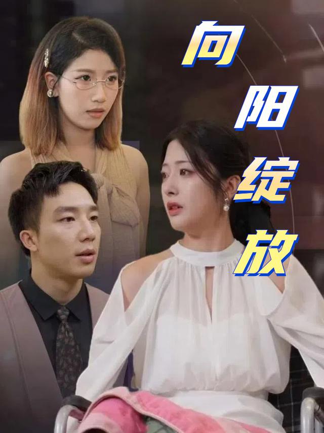 向阳绽放封面