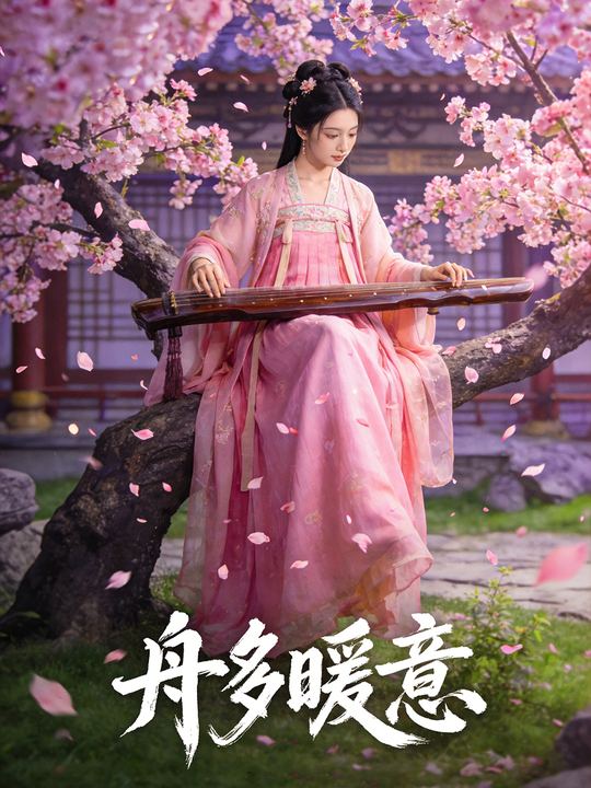 舟多暖意封面