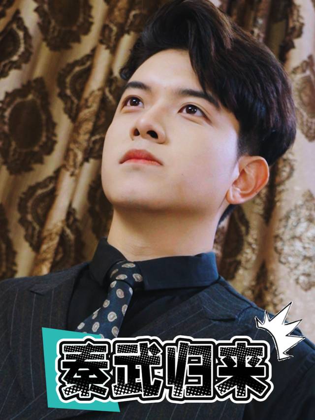 秦武归来封面