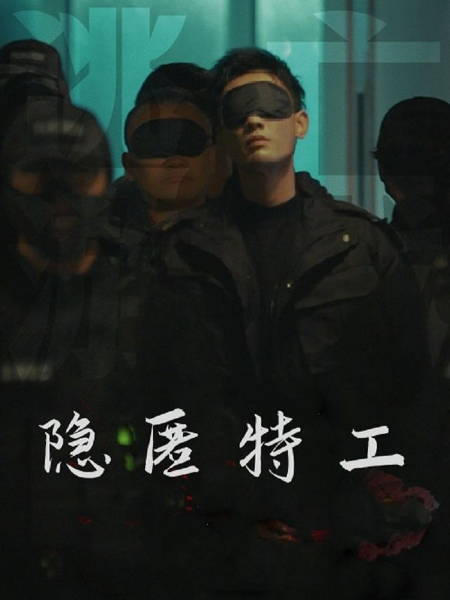 隐匿特工封面