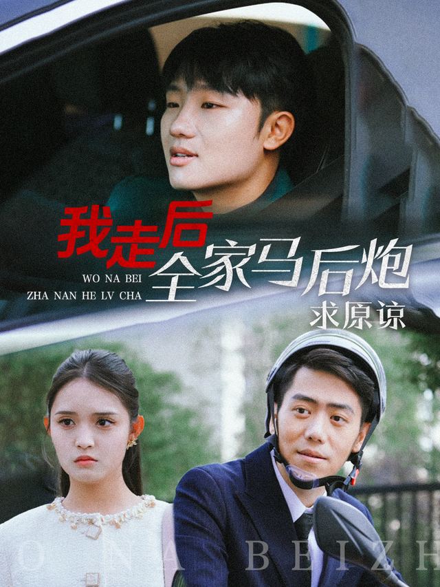 我走后,全家马后炮求原谅封面