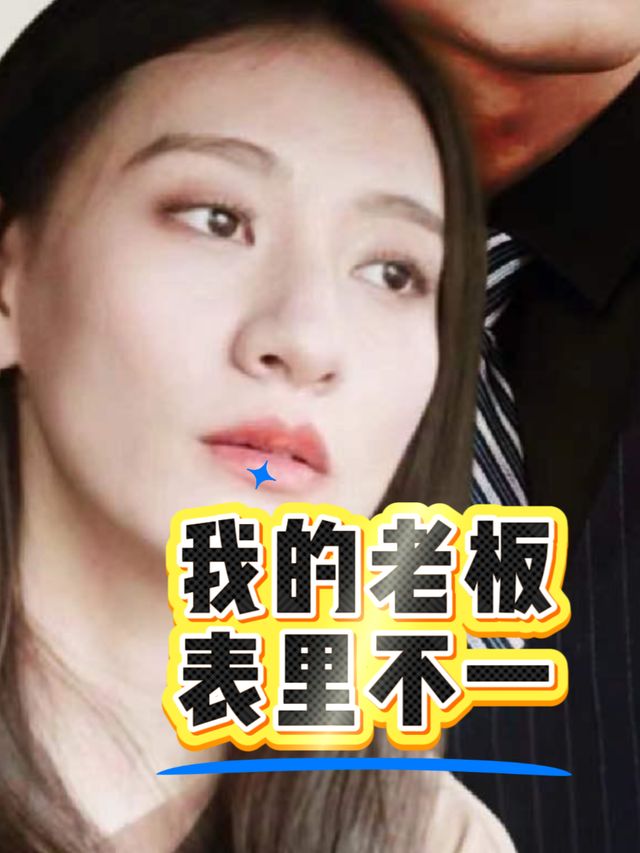 我的老板表里不一封面