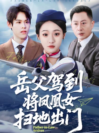 岳父驾到将凤凰女扫地出门封面