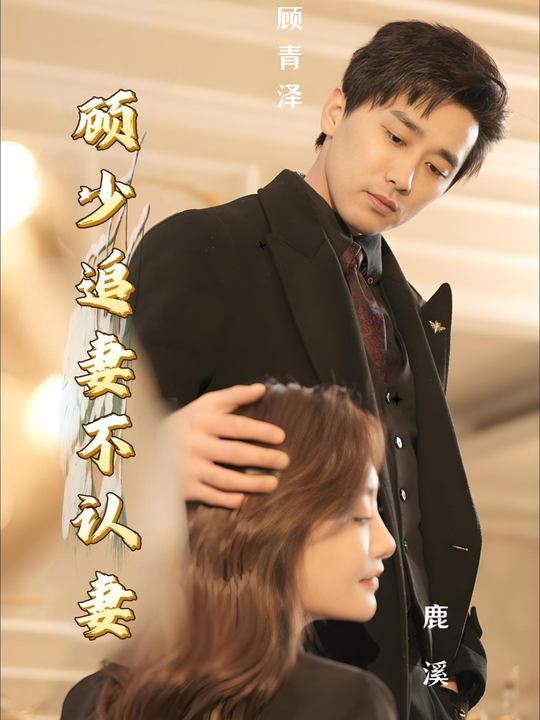 顾少追妻不认妻封面