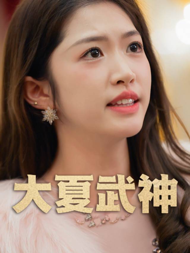 大夏武神封面