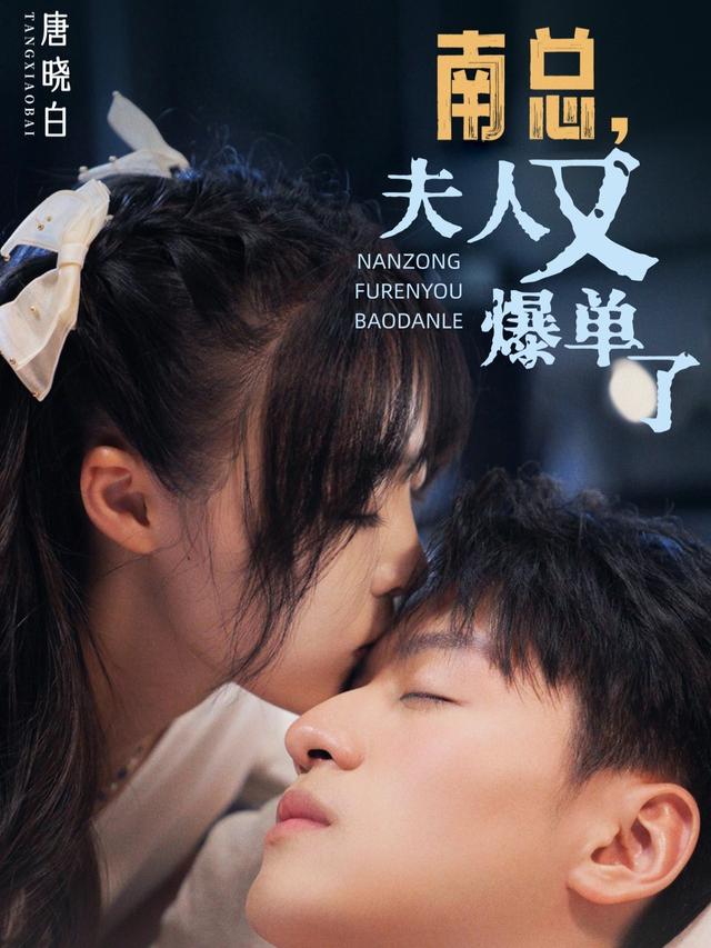南总,夫人又爆单了封面
