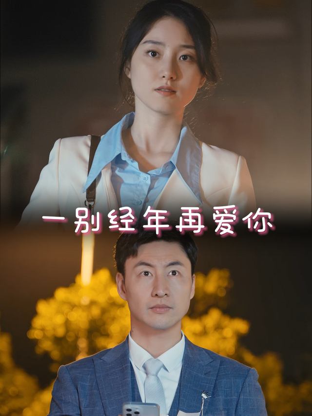 一别经年再爱你封面