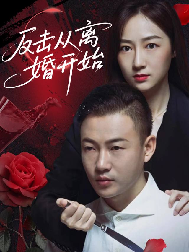 反击从离婚开始封面