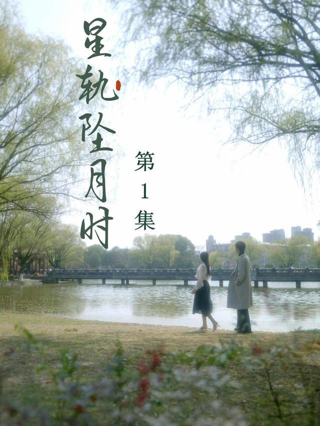 星轨坠月时封面