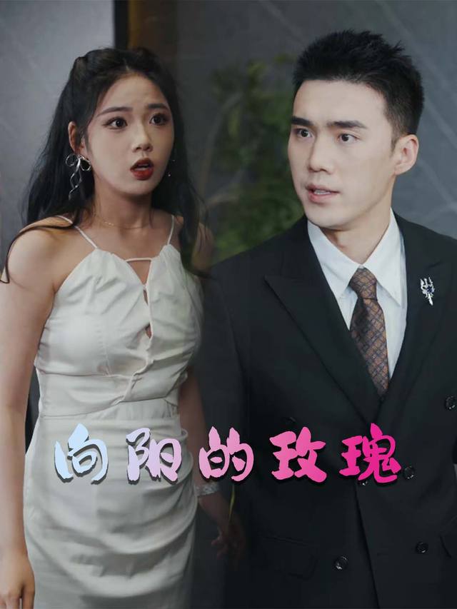 向阳的玫瑰封面