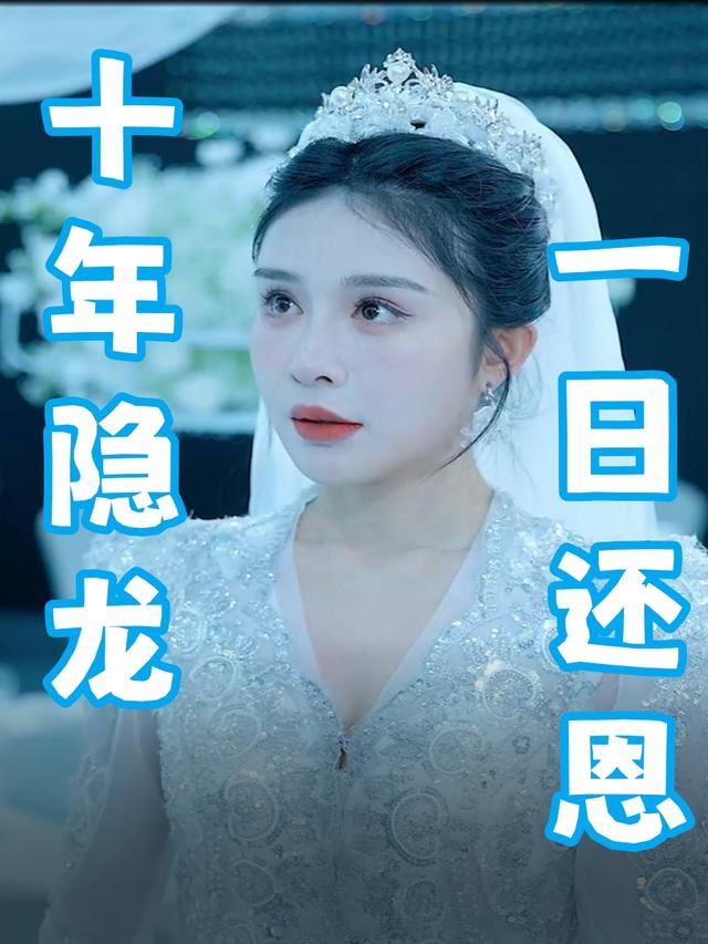 十年隐龙封面