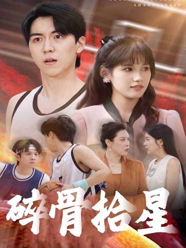 碎骨拾星封面