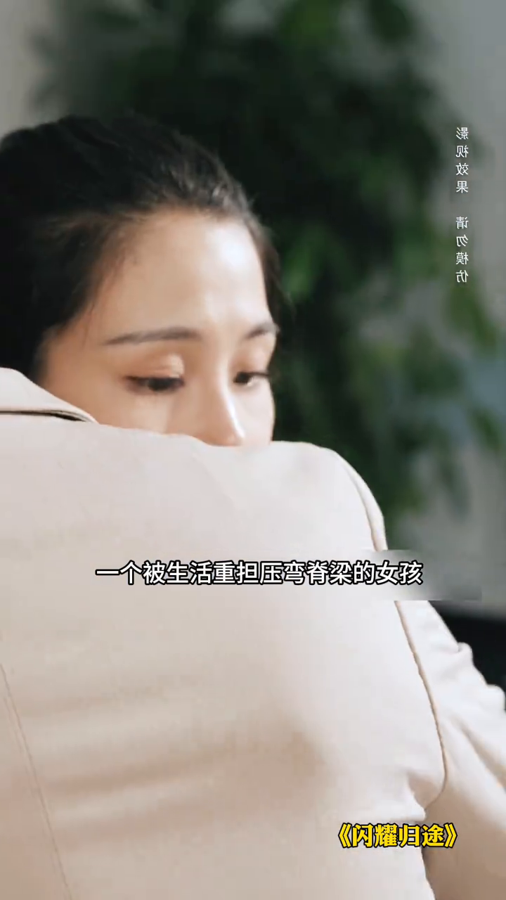 闪耀归途封面