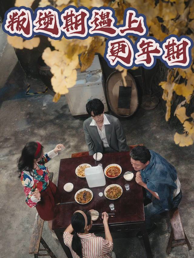 叛逆期遇上更年期封面