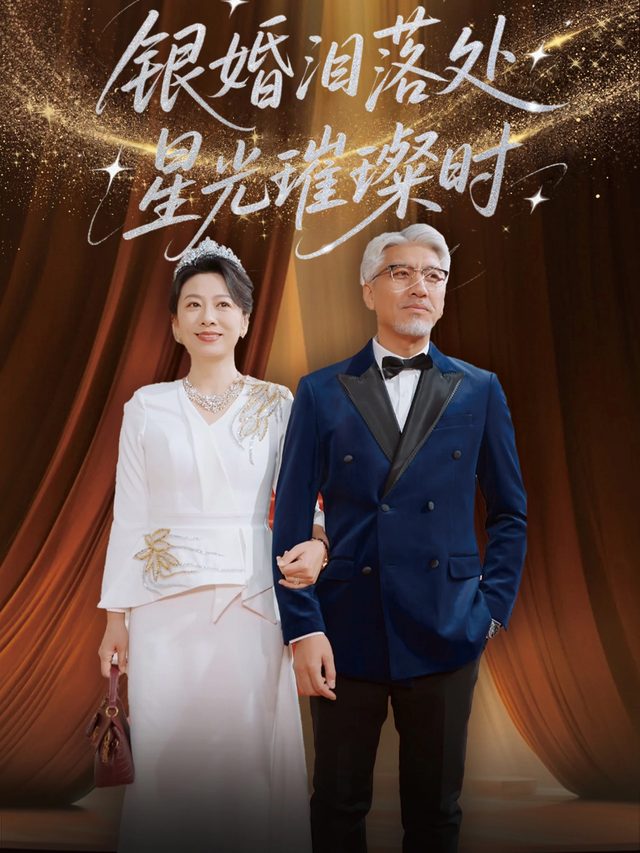 银婚泪落处星光璀璨时封面