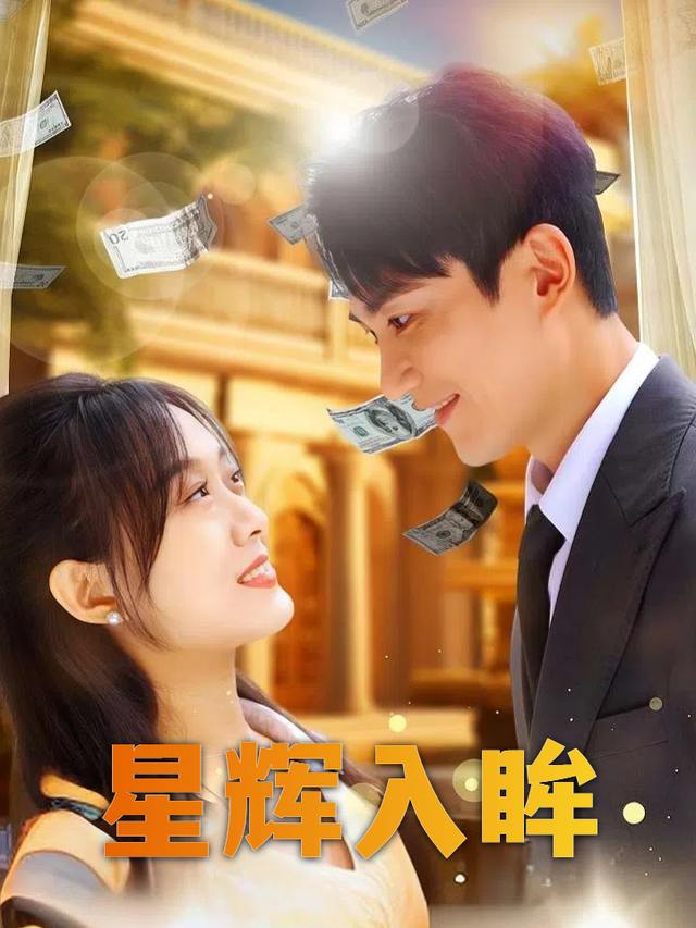 星辉入眸封面