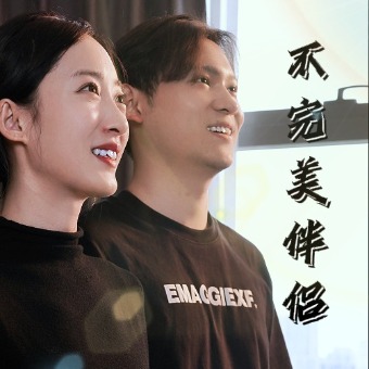不完美伴侣封面