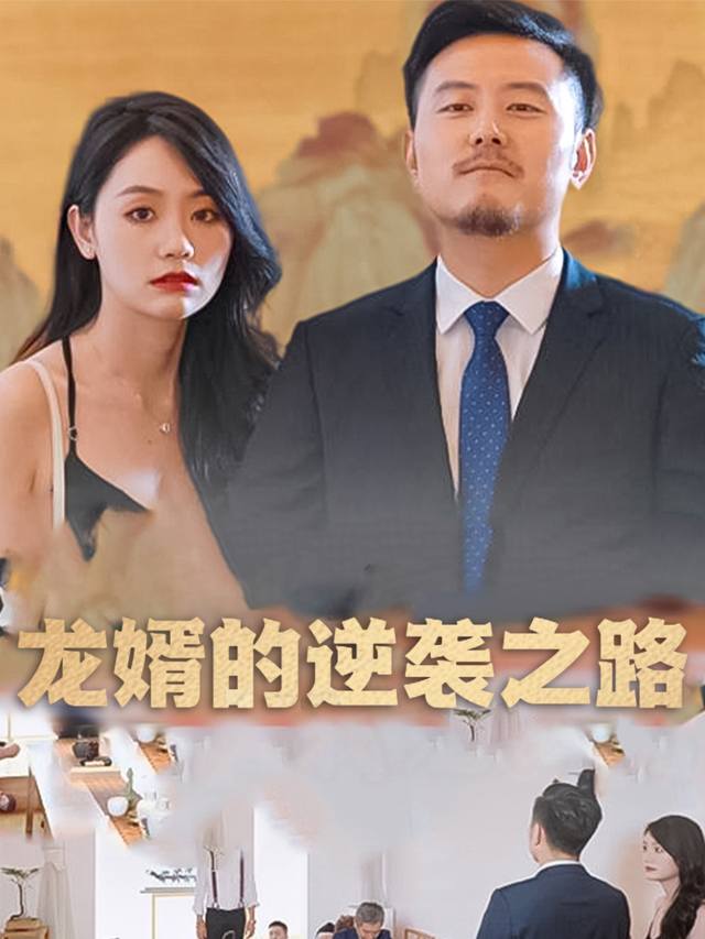龙婿的逆袭之路封面
