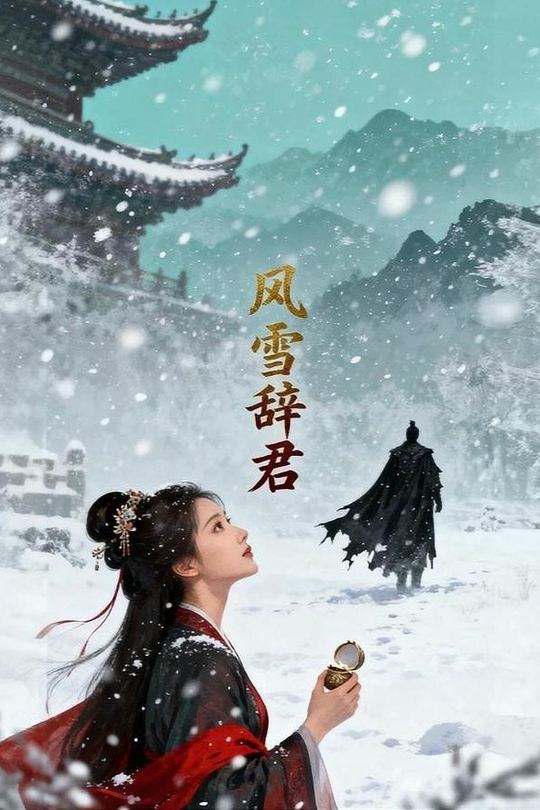 风雪辞君封面