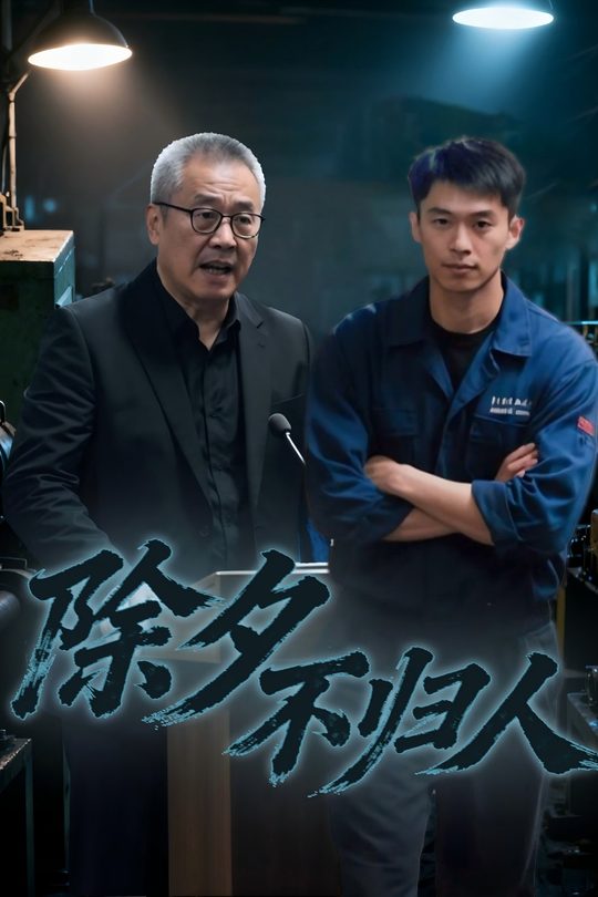 除夕不归人封面