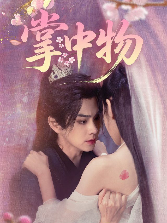 掌中物封面