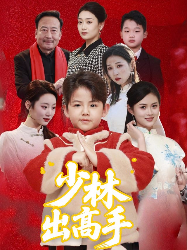 少林出高手封面