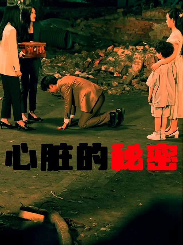 心脏的秘密封面